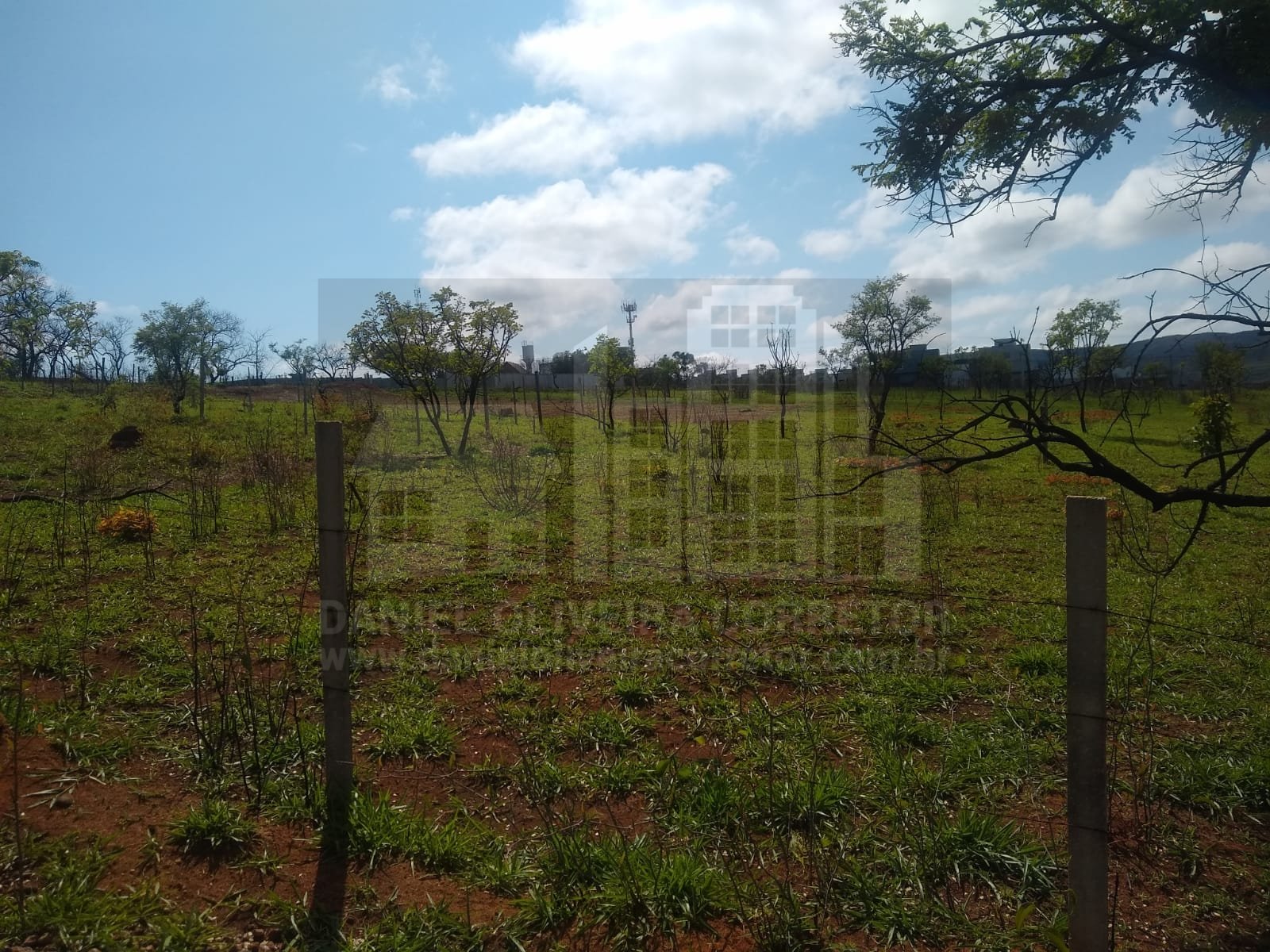 Lote no Carmindo