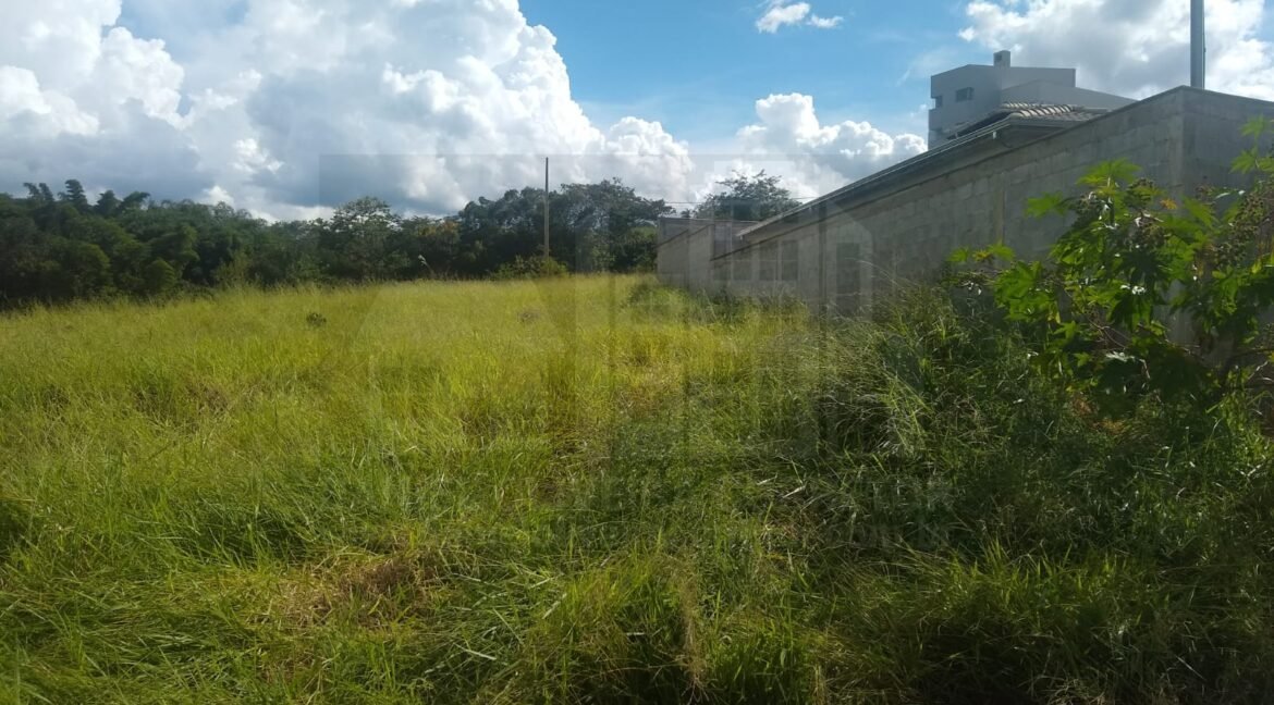Photo_1675881500415